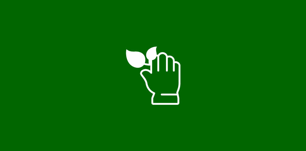 Espaces Verts - Environnement Gestion différenciée et alternatives aux pesticides en espace public
