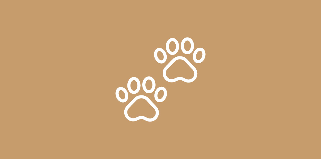 Secteur animalier Formation obligatoire en bien-être animal destinée aux professionnel.les du secteur